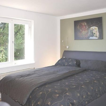 לוכאו ביי ברגנץ Haus Bregenz Apartment Festspiele מראה חיצוני תמונה