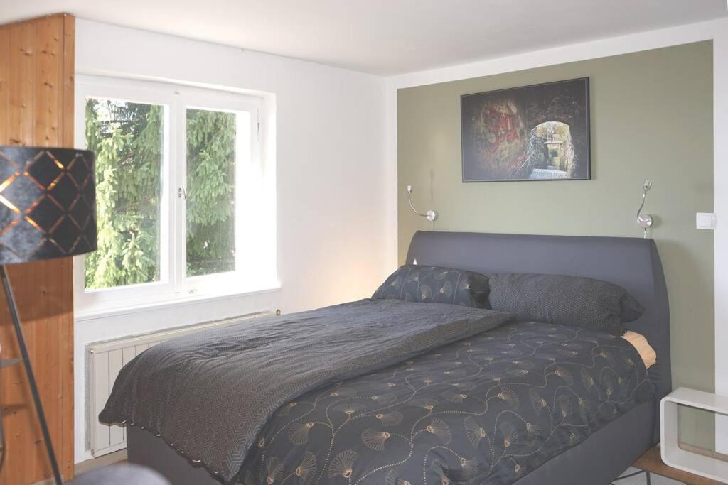 לוכאו ביי ברגנץ Haus Bregenz Apartment Festspiele מראה חיצוני תמונה
