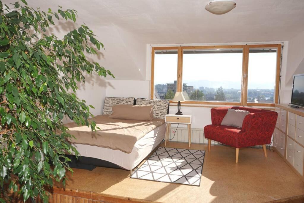 לוכאו ביי ברגנץ Haus Bregenz Apartment Festspiele מראה חיצוני תמונה